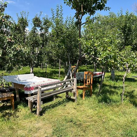 "Bilim" Guest House Tamchy Buitenkant foto