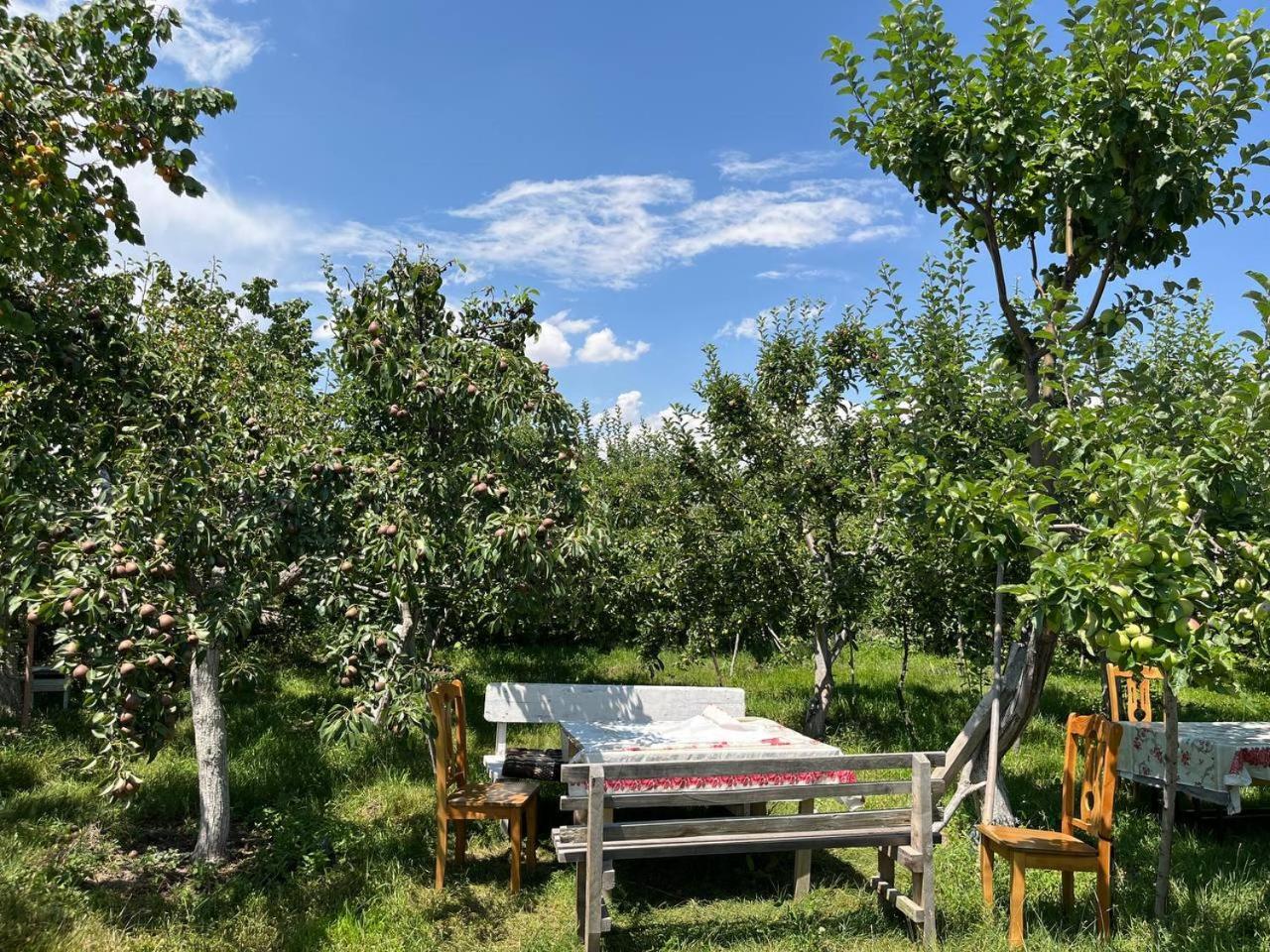 "Bilim" Guest House Tamchy Buitenkant foto
