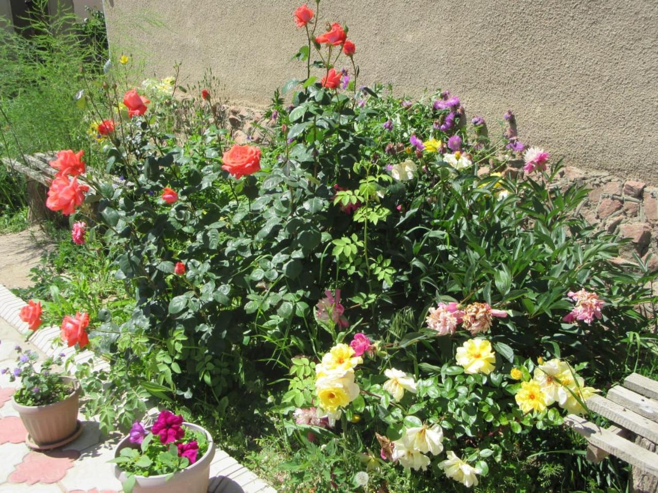 "Bilim" Guest House Tamchy Buitenkant foto